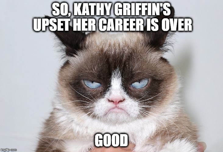 Kathy Griffin what a loser  | SO, KATHY GRIFFIN'S UPSET HER CAREER IS OVER; GOOD | image tagged in kathy griffin,kathy griffin tolerance,isis kathy griffin,grumpy cat | made w/ Imgflip meme maker