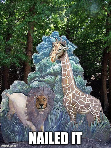THIS! | NAILED IT | image tagged in zoo,this,nailed it,lion,giraffe | made w/ Imgflip meme maker