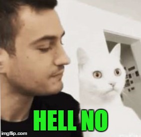 HELL NO | made w/ Imgflip meme maker