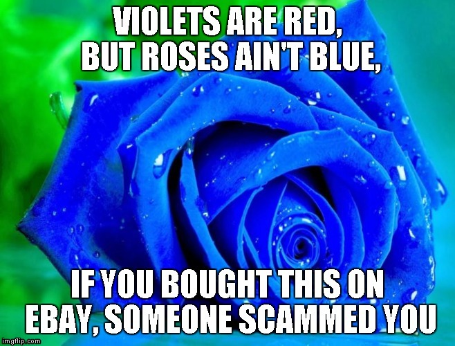 image tagged in poem,roses are red violets are are blue,internet scam | made w/ Imgflip meme maker