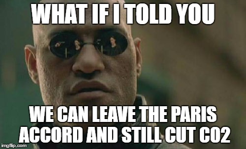 Matrix Morpheus | WHAT IF I TOLD YOU; WE CAN LEAVE THE PARIS ACCORD AND STILL CUT C02 | image tagged in memes,matrix morpheus | made w/ Imgflip meme maker