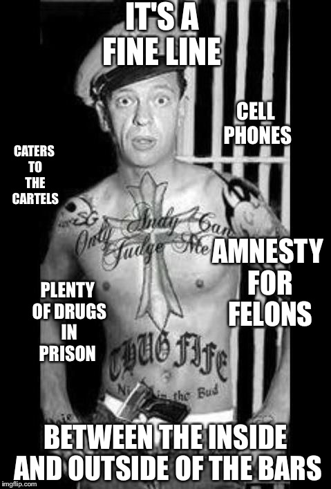Barney Fife | IT'S A FINE LINE; CELL PHONES; CATERS TO THE CARTELS; AMNESTY FOR FELONS; PLENTY OF DRUGS IN PRISON; BETWEEN THE INSIDE AND OUTSIDE OF THE BARS | image tagged in barney fife | made w/ Imgflip meme maker