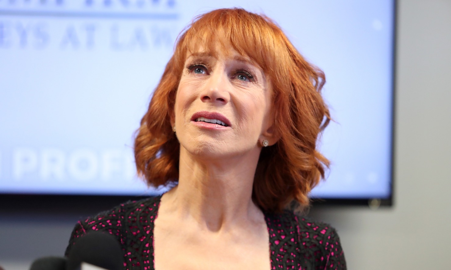 High Quality kathy griffin Blank Meme Template