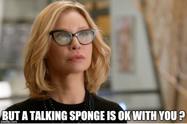 Callista Flockhart | BUT A TALKING SPONGE IS OK WITH YOU ? | image tagged in callista flockhart | made w/ Imgflip meme maker