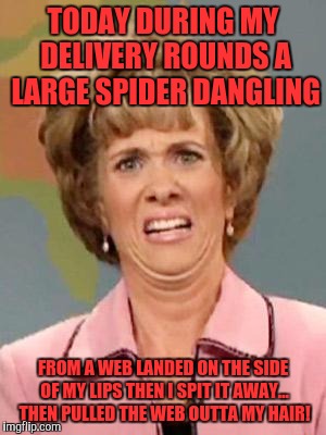 Ew!  True Story! | TODAY DURING MY DELIVERY ROUNDS A LARGE SPIDER DANGLING; FROM A WEB LANDED ON THE SIDE OF MY LIPS THEN I SPIT IT AWAY... THEN PULLED THE WEB OUTTA MY HAIR! | image tagged in grossed out,memes,funny,funny memes,gross,nope | made w/ Imgflip meme maker