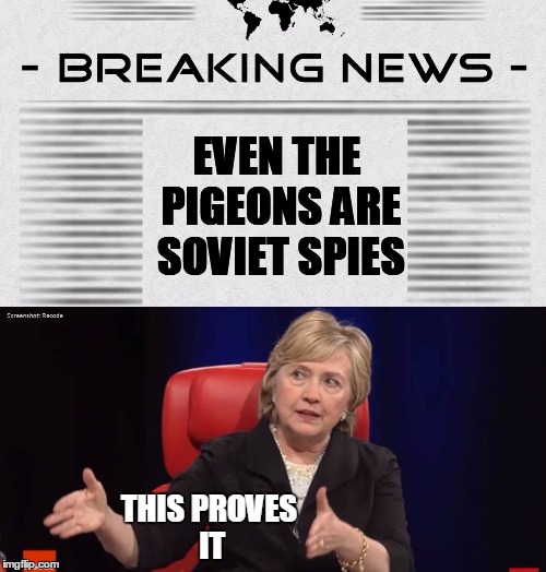 EVEN THE PIGEONS ARE SOVIET SPIES THIS PROVES IT | made w/ Imgflip meme maker