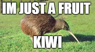 AAAH A FRUIT ANIMAL
 | IM JUST A FRUIT; KIWI | image tagged in funny animals,animals,lol so funny | made w/ Imgflip meme maker