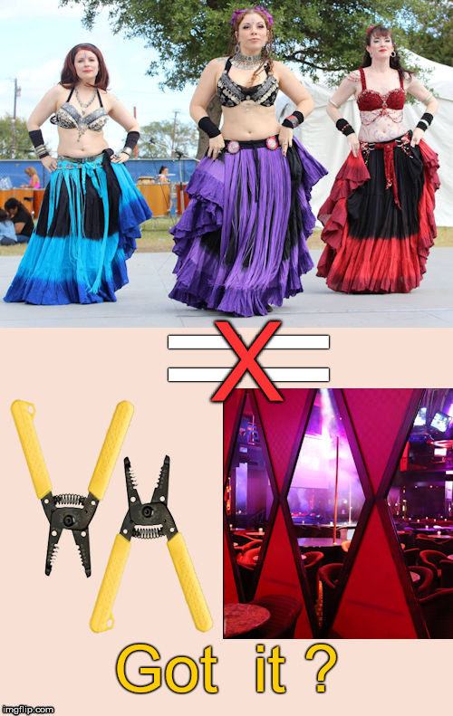Belly Dancers are NOT strippers! | Got  it ? | image tagged in belly dancers,abi leonard,texas state fair 2016 | made w/ Imgflip meme maker