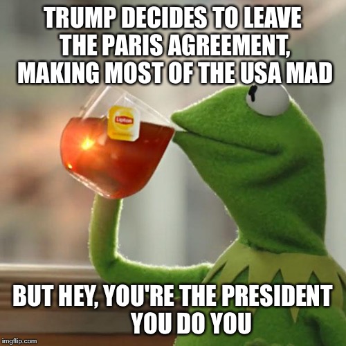 But That's None Of My Business Meme |  TRUMP DECIDES TO LEAVE THE PARIS AGREEMENT, MAKING MOST OF THE USA MAD; BUT HEY, YOU'RE THE PRESIDENT        YOU DO YOU | image tagged in memes,but thats none of my business,kermit the frog | made w/ Imgflip meme maker