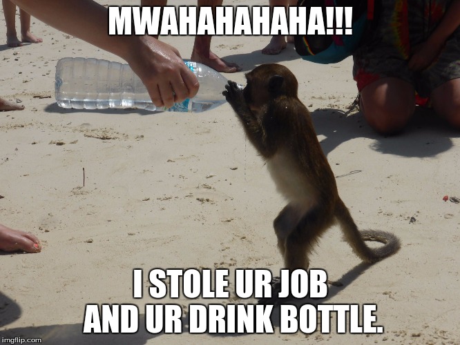 MWAHAHAHAHA!!! I STOLE UR JOB AND UR DRINK BOTTLE. | image tagged in supermarket monkeys be like | made w/ Imgflip meme maker