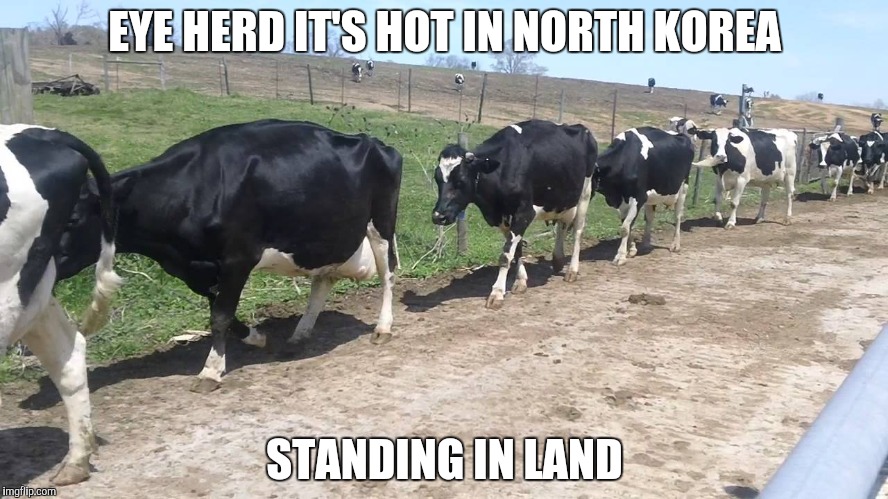 EYE HERD IT'S HOT IN NORTH KOREA STANDING IN LAND | made w/ Imgflip meme maker