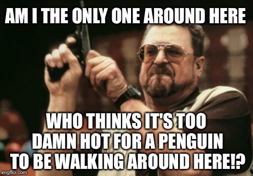 Am I the only one around here who thinks it's too damn hot for a penguin to be walking around here | AM I THE ONLY ONE AROUND HERE; WHO THINKS IT'S TOO DAMN HOT FOR A PENGUIN TO BE WALKING AROUND HERE!? | image tagged in memes,am i the only one around here,penguin,adam sandler,it's too damn hot | made w/ Imgflip meme maker