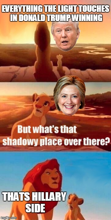 Simba Shadowy Place Meme | EVERYTHING THE LIGHT TOUCHES IN DONALD TRUMP WINNING; THATS HILLARY SIDE | image tagged in memes,simba shadowy place | made w/ Imgflip meme maker