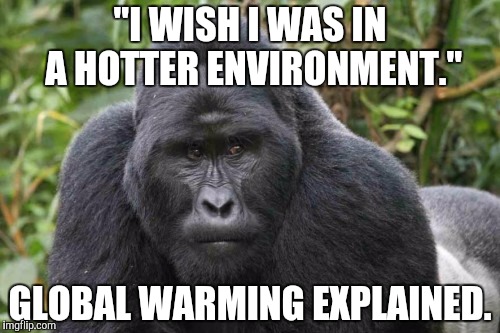 "I WISH I WAS IN A HOTTER ENVIRONMENT." GLOBAL WARMING EXPLAINED. | made w/ Imgflip meme maker