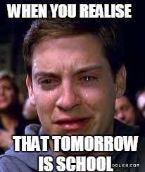 crying spiderman | WHEN YOU REALISE; THAT TOMORROW IS SCHOOL | image tagged in crying spiderman | made w/ Imgflip meme maker