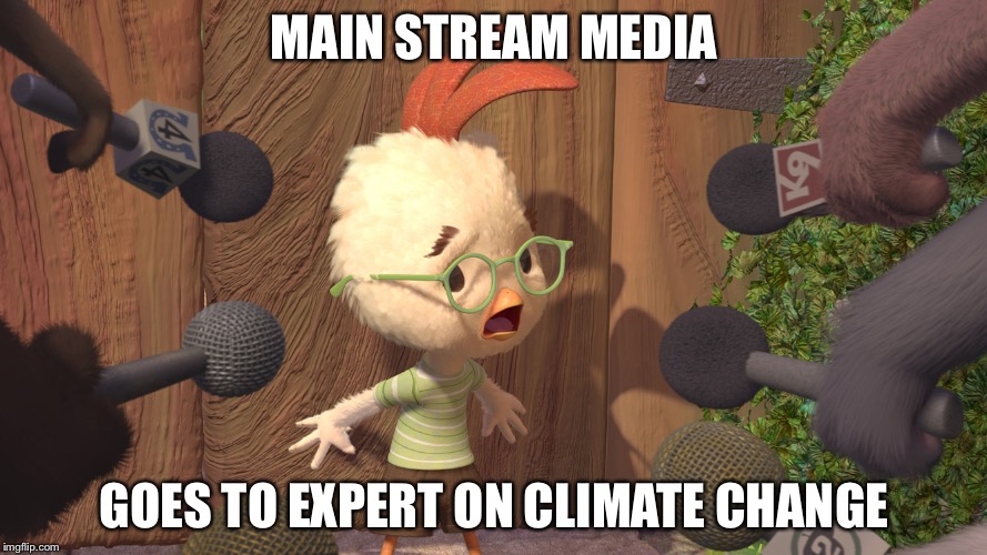 Chicken Little | MAIN STREAM MEDIA; GOES TO EXPERT ON CLIMATE CHANGE | image tagged in chicken little | made w/ Imgflip meme maker