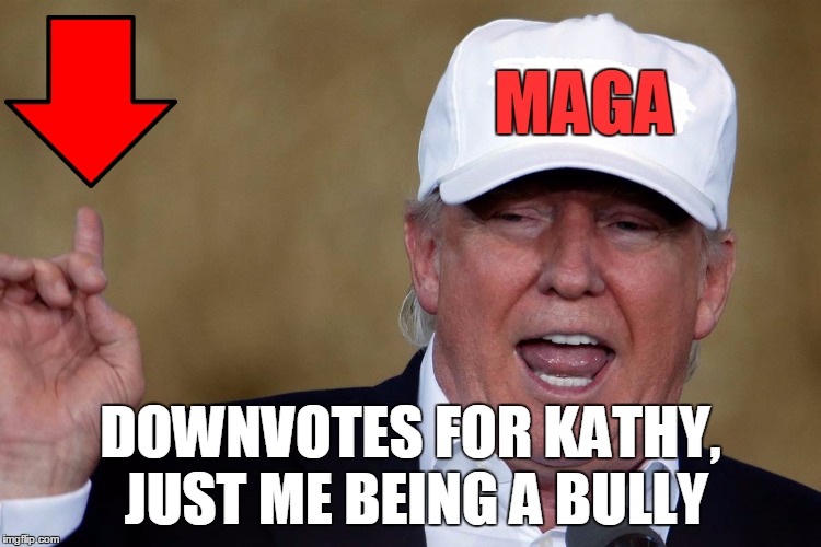 Donald Trump Blank MAGA Hat | MAGA DOWNVOTES FOR KATHY, JUST ME BEING A BULLY | image tagged in donald trump blank maga hat | made w/ Imgflip meme maker