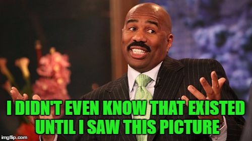 Steve Harvey Meme | I DIDN'T EVEN KNOW THAT EXISTED UNTIL I SAW THIS PICTURE | image tagged in memes,steve harvey | made w/ Imgflip meme maker