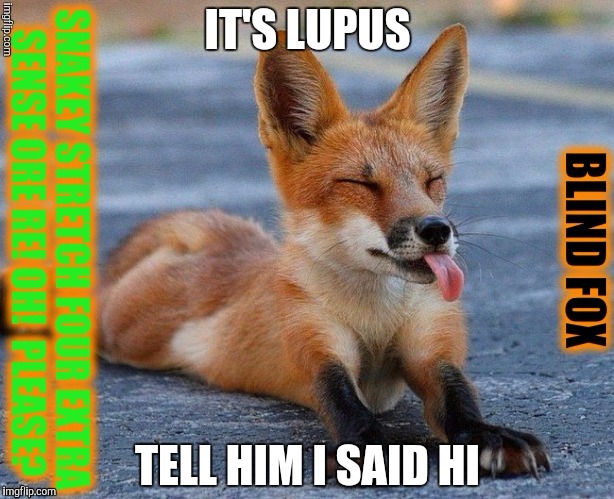 IT'S LUPUS TELL HIM I SAID HI | made w/ Imgflip meme maker