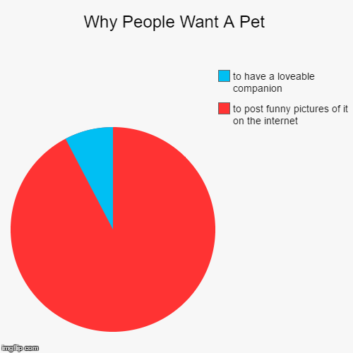 image tagged in funny,pie charts | made w/ Imgflip chart maker