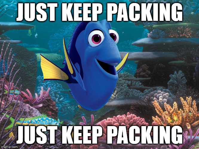 Just keep packing. | JUST KEEP PACKING; JUST KEEP PACKING | image tagged in dory,moving,packing | made w/ Imgflip meme maker