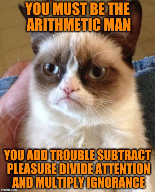 Grumpy Cat Meme | YOU MUST BE THE ARITHMETIC MAN; YOU ADD TROUBLE SUBTRACT PLEASURE DIVIDE ATTENTION AND MULTIPLY IGNORANCE | image tagged in memes,grumpy cat | made w/ Imgflip meme maker