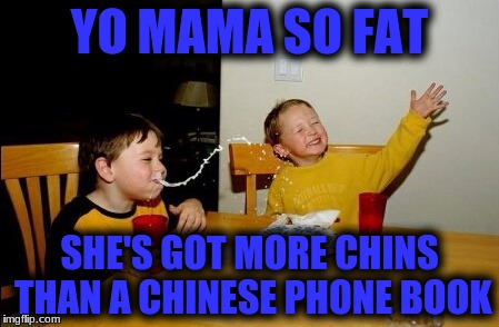 Yo Mamas So Fat Meme | YO MAMA SO FAT; SHE'S GOT MORE CHINS THAN A CHINESE PHONE BOOK | image tagged in memes,yo mamas so fat | made w/ Imgflip meme maker