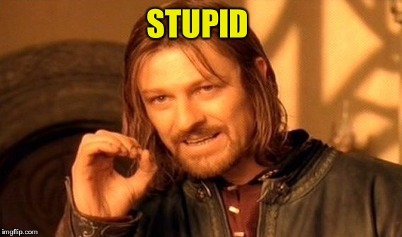 One Does Not Simply Meme | STUPID | image tagged in memes,one does not simply | made w/ Imgflip meme maker