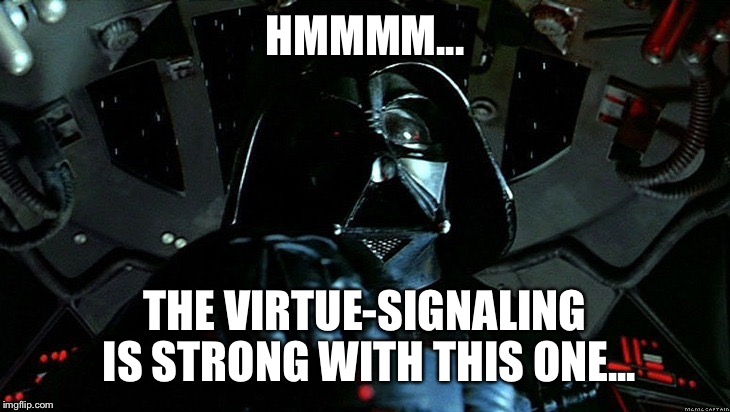 Darth Vader Tie Fighter | HMMMM... THE VIRTUE-SIGNALING IS STRONG WITH THIS ONE... | image tagged in darth vader tie fighter | made w/ Imgflip meme maker