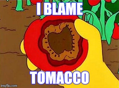 Simpsons Throwback | I BLAME; TOMACCO | image tagged in memes,the simpsons,tomato,tobacco | made w/ Imgflip meme maker