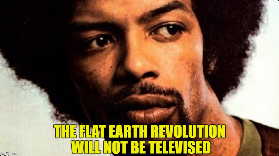 THE FLAT EARTH REVOLUTION WILL NOT BE TELEVISED | image tagged in revolution,flat earth,television,heron | made w/ Imgflip meme maker