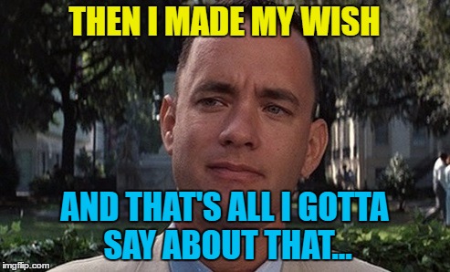 THEN I MADE MY WISH AND THAT'S ALL I GOTTA SAY ABOUT THAT... | made w/ Imgflip meme maker