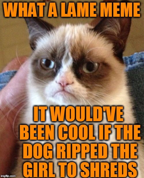Grumpy Cat Meme | WHAT A LAME MEME IT WOULD'VE BEEN COOL IF THE DOG RIPPED THE GIRL TO SHREDS | image tagged in memes,grumpy cat | made w/ Imgflip meme maker