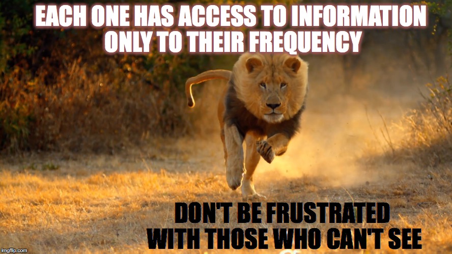  135:16 | EACH ONE HAS ACCESS TO INFORMATION ONLY TO THEIR FREQUENCY; DON'T BE FRUSTRATED WITH THOSE WHO CAN'T SEE | image tagged in eyes that don't see | made w/ Imgflip meme maker