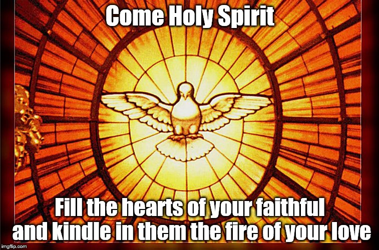 Holy Spirit | Come Holy Spirit; Fill the hearts of your faithful and kindle in them the fire of your love | image tagged in holy spirit | made w/ Imgflip meme maker