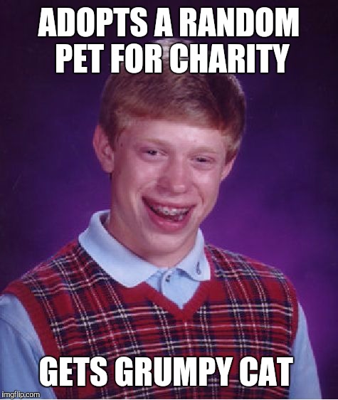 Those two are perfect for each other | ADOPTS A RANDOM PET FOR CHARITY; GETS GRUMPY CAT | image tagged in memes,bad luck brian | made w/ Imgflip meme maker