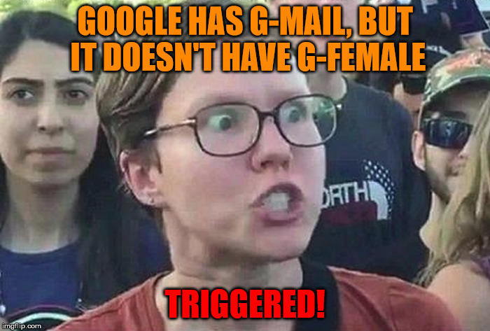 Did you just assume google's gender?? | GOOGLE HAS G-MAIL, BUT IT DOESN'T HAVE G-FEMALE; TRIGGERED! | image tagged in triggered liberal | made w/ Imgflip meme maker