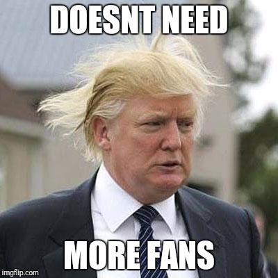 Donald Trump | DOESNT NEED; MORE FANS | image tagged in donald trump | made w/ Imgflip meme maker