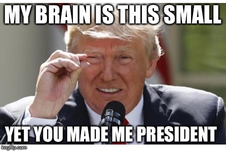 Ro | MY BRAIN IS THIS SMALL; YET YOU MADE ME PRESIDENT | image tagged in ro | made w/ Imgflip meme maker