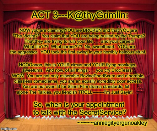 ACT 3:  The Troll Follies | ACT 3---K@thyGrimlin:; NOW you are claiming YOU are BROKEN and that YOU are *The Victim?*  You claim that YOU are being bullied by the Trumps?  That they are trying to ruin your life . . . and your career?  What life???  What career???  No, sweetheart.  YOU are the aggressor.  YOU took the first swing in your horribly heinous stunt. NOOOoooo, this is YOUR circus and YOUR flying monkeys, sweetums.  And now, of all things . . . you cry CrocTears.  WOW.  You are not only miserable BovinePondScum and a horrible, classless comedienne, you are an equally incredibly poor actress. You are not even fit for Silent Film drama standards, let           alone The Talkies, you fiendish TROLL--------I'm Just Sayin'. So, when is your appointment to talk with the SecretService? ~~~~~anniegityergunoakley | image tagged in kathygrimlin,troll,croctears,the victim,bovinepondscum | made w/ Imgflip meme maker