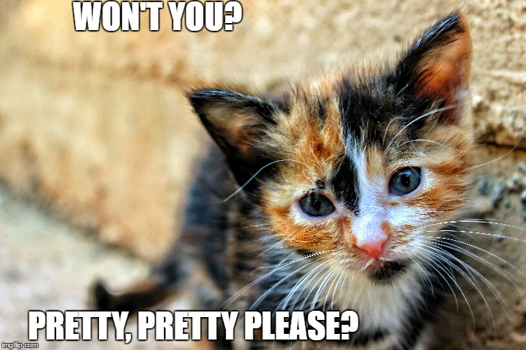 WON'T YOU? PRETTY, PRETTY PLEASE? | made w/ Imgflip meme maker