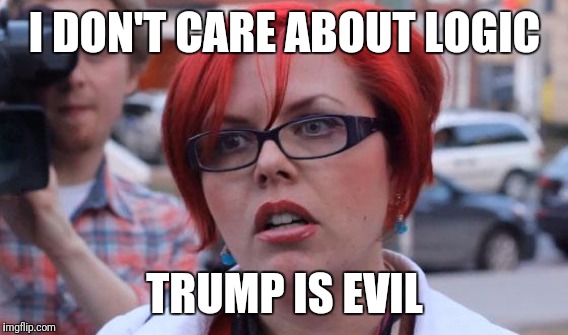 I DON'T CARE ABOUT LOGIC TRUMP IS EVIL | made w/ Imgflip meme maker