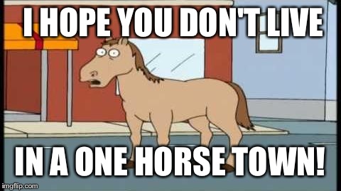 I HOPE YOU DON'T LIVE IN A ONE HORSE TOWN! | made w/ Imgflip meme maker