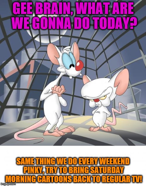 Pinky and the brain | GEE BRAIN, WHAT ARE WE GONNA DO TODAY? SAME THING WE DO EVERY WEEKEND PINKY, TRY TO BRING SATURDAY MORNING CARTOONS BACK TO REGULAR TV! | image tagged in pinky and the brain | made w/ Imgflip meme maker