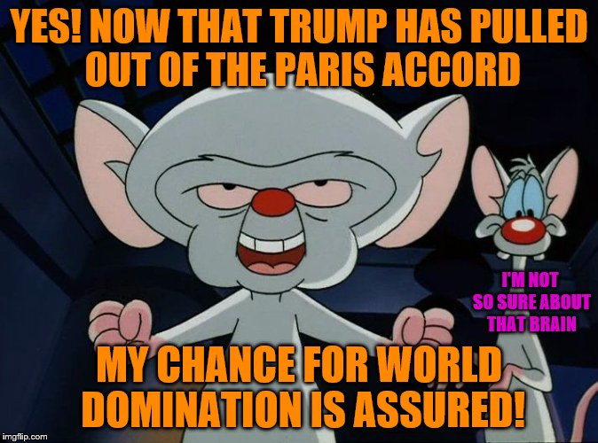 Pinky and the brain | YES! NOW THAT TRUMP HAS PULLED OUT OF THE PARIS ACCORD; I'M NOT SO SURE ABOUT THAT BRAIN; MY CHANCE FOR WORLD DOMINATION IS ASSURED! | image tagged in pinky and the brain | made w/ Imgflip meme maker