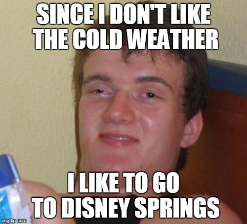 10 Guy | SINCE I DON'T LIKE THE COLD WEATHER; I LIKE TO GO TO DISNEY SPRINGS | image tagged in memes,10 guy | made w/ Imgflip meme maker
