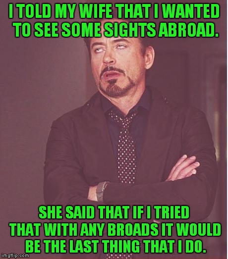 See all of the broads! Thanks to Octavia_Melody for the idea! | I TOLD MY WIFE THAT I WANTED TO SEE SOME SIGHTS ABROAD. SHE SAID THAT IF I TRIED THAT WITH ANY BROADS IT WOULD BE THE LAST THING THAT I DO. | image tagged in memes,face you make robert downey jr,abroad,a broad,wife | made w/ Imgflip meme maker