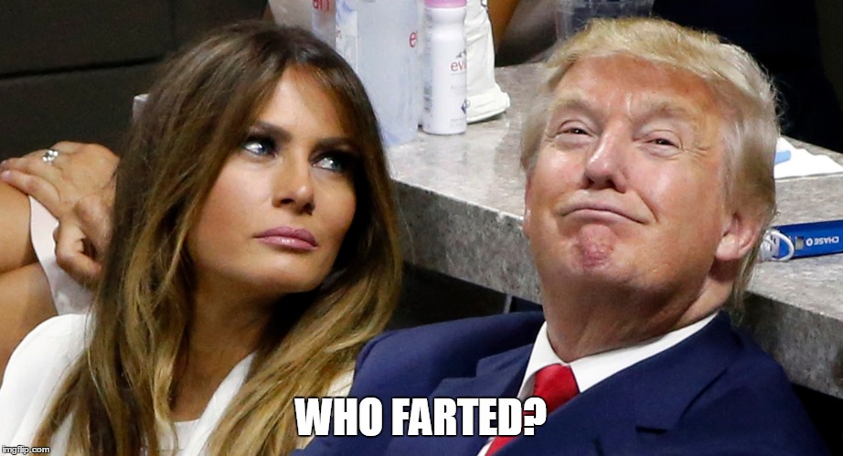 Donald or Melania? | WHO FARTED? | image tagged in donald trump | made w/ Imgflip meme maker
