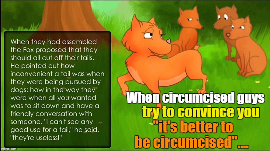 When circumcised guys; try to convince you; "it's better to be circumcised".... | image tagged in circumcision | made w/ Imgflip meme maker