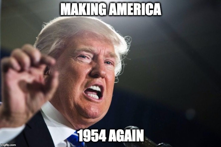 donald trump | MAKING AMERICA; 1954 AGAIN | image tagged in donald trump | made w/ Imgflip meme maker